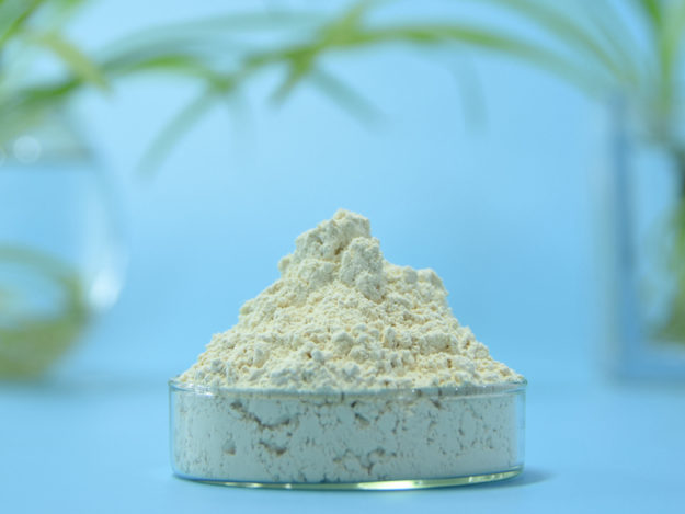 Sapindus Mukurossi Extract